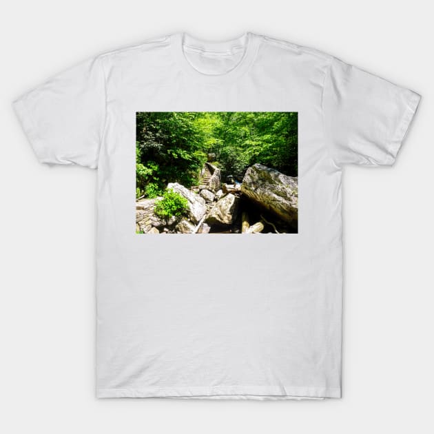 A Climb In The Woods T-Shirt by PaulLu